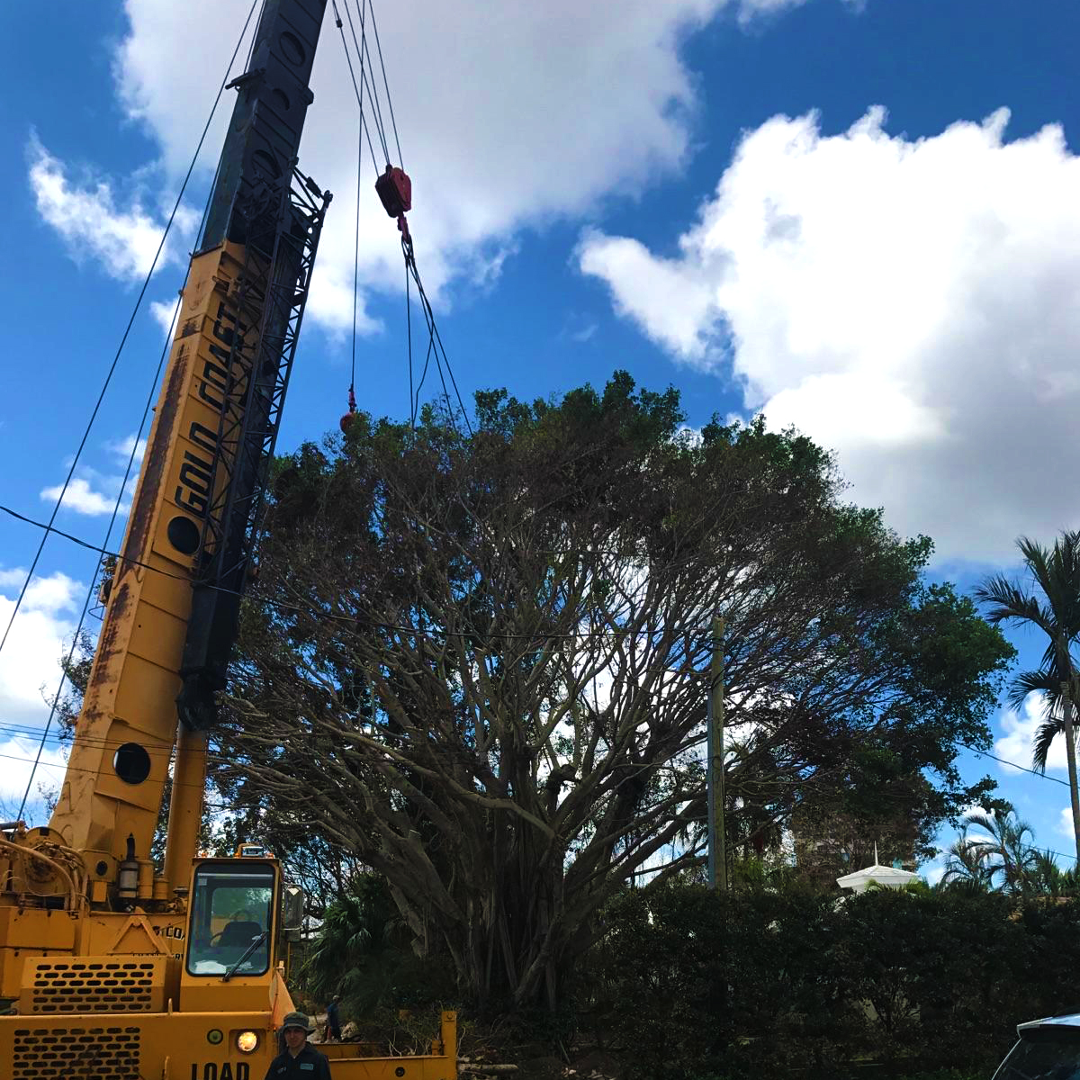 Gallery Gold Coast Crane
