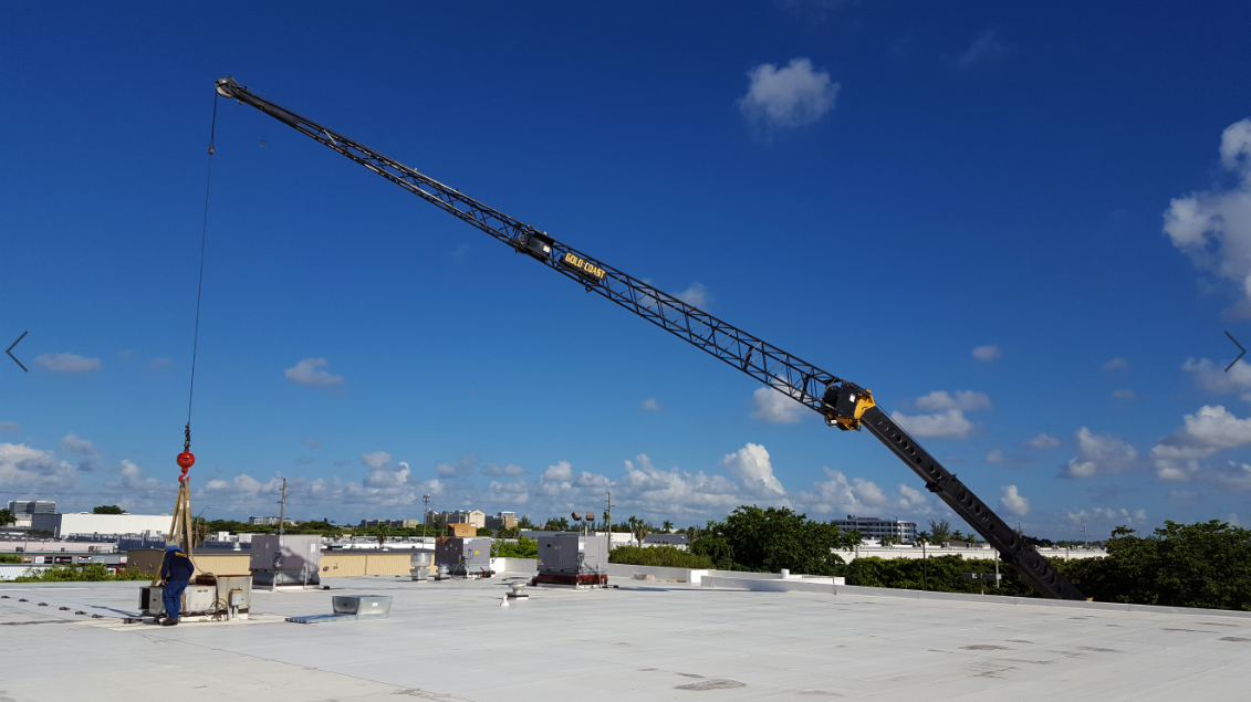 Home Gold Coast Crane