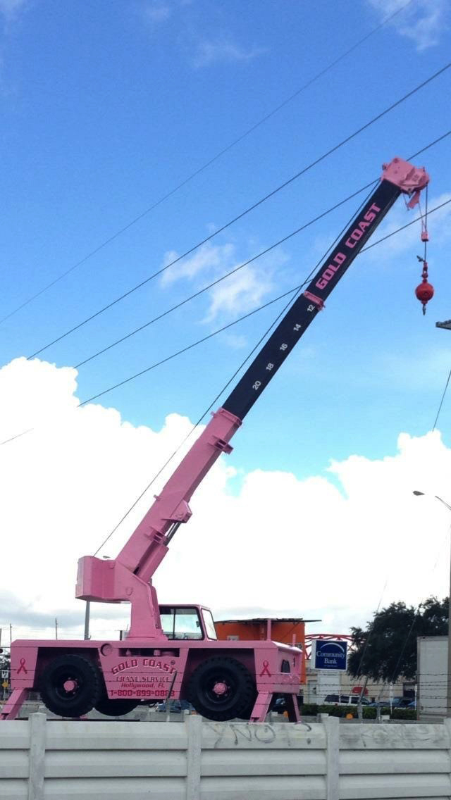 About Gold Coast Crane